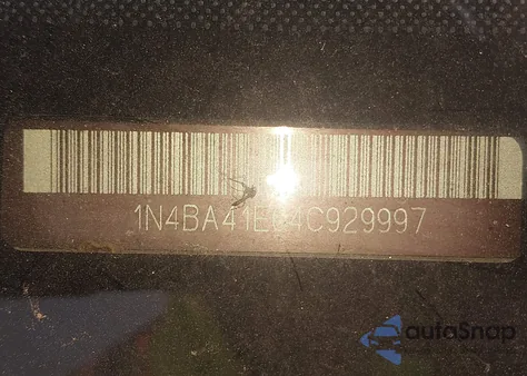 2004 Nissan Maxima 3.5 Se z USA, uszkodzony, nr VIN 1N4BA41E64C929997